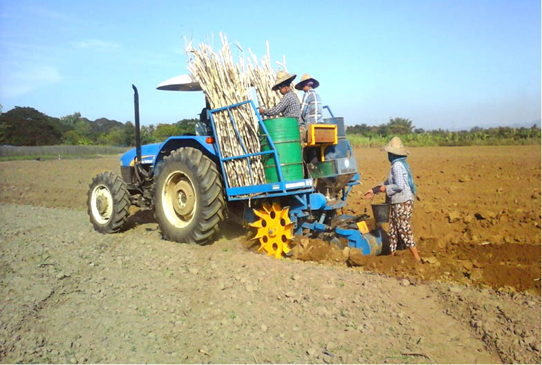 ကြံစိုက်ပျိုးနည်းစနစ်(ကြံစိုက်စက်ဖြင့် စိုက်ပျိုးနည်းစနစ်)